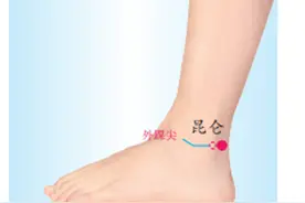 昆仑穴——调理“脚踝扭伤、足跟痛、脊柱侧弯”要穴图片