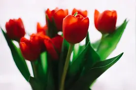 中年以后，还有异性对你主动，往往是从这两个越界开始图片