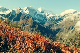 越早明白这三点，越早走出生活的迷茫图片