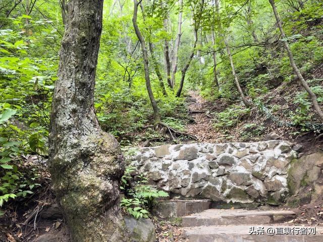 这大概是保定景区里最具挑战的一座大山了吧，1300级天梯太带劲了