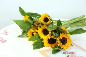 从不给你朋友圈点赞的人，往往只有以下两种，后一种情况很复杂图片