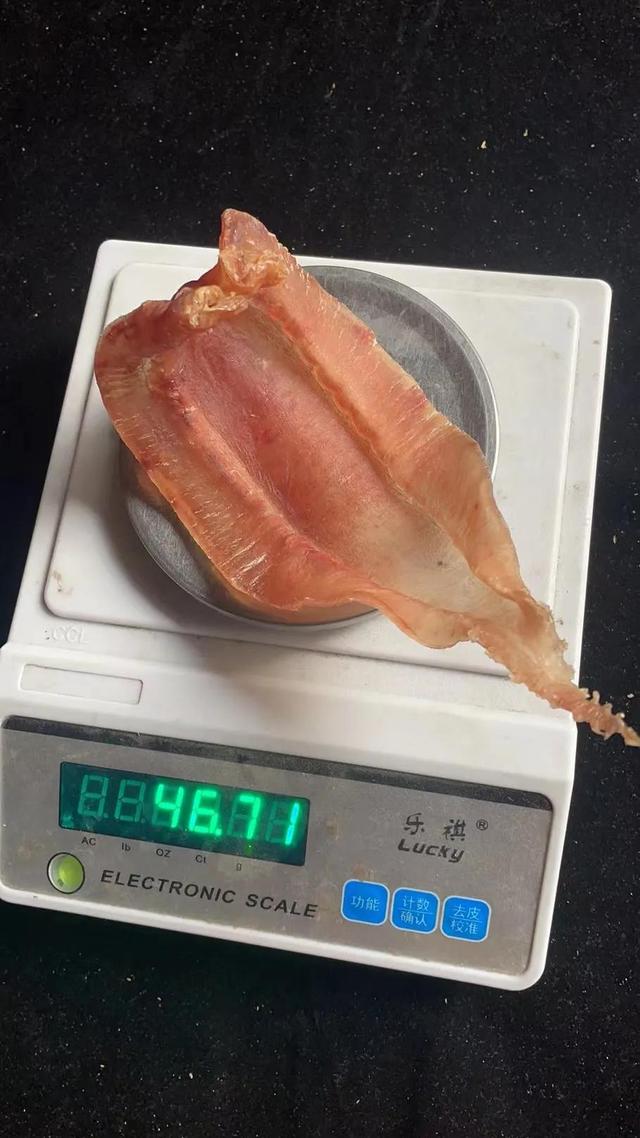 小血鳘鱼胶的功效 2025年血鳘鱼胶介绍 小血鳘鱼胶的功效 2025年血鳘鱼胶介绍