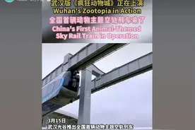 武汉空轨“上新”，外交部再次转发！图片
