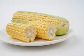 关于玉米的五个灵魂问答！图片