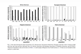 美国白人、黑人、印第安裔、西班牙裔、亚裔的父系Y类型构成图片