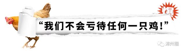 港式花胶泡大 港式花胶鸡汤怎么熬 港式花胶泡大 港式花胶鸡汤怎么熬
