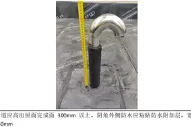 正置式屋面防水做法（非固化+SBS）图片