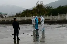 广西来宾：忻城警方遣返4名越南籍“三非”人员图片