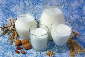 这13类食物猫咪千万不能吃图片