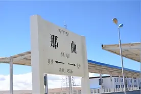 西藏那曲县：种活一棵悬赏30万、为树修建玻璃房，如今怎样了？图片