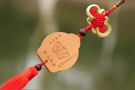 哪个月份的生肖猪命最好？谁过得一般般？图片