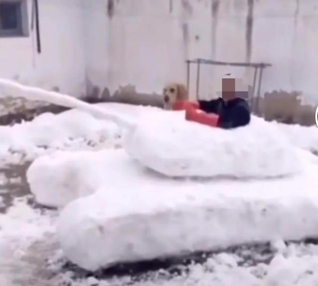 大郑州堆雪人内卷严重，哪个是金奖？全河南的雪人都在这里了
