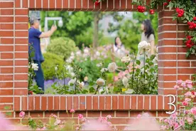 相约武昌！武汉市民喊话：今年的花海必须打卡！图片