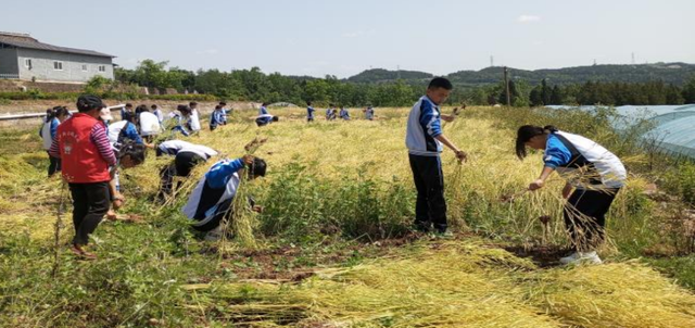 四川省民生研究会新媒体中心-官网