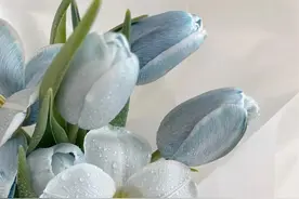 一个男人若思念女人到极致，表现为：3个忍不住图片