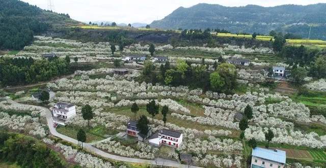 四川省民生研究会新媒体中心-官网