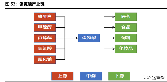 新和成研究报告：从维生素龙头逐渐成长为精细化工龙头