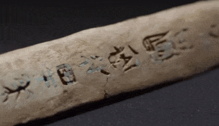 暑假，如果你不知道怎么教育孩子，一定要带他看这5部纪录片