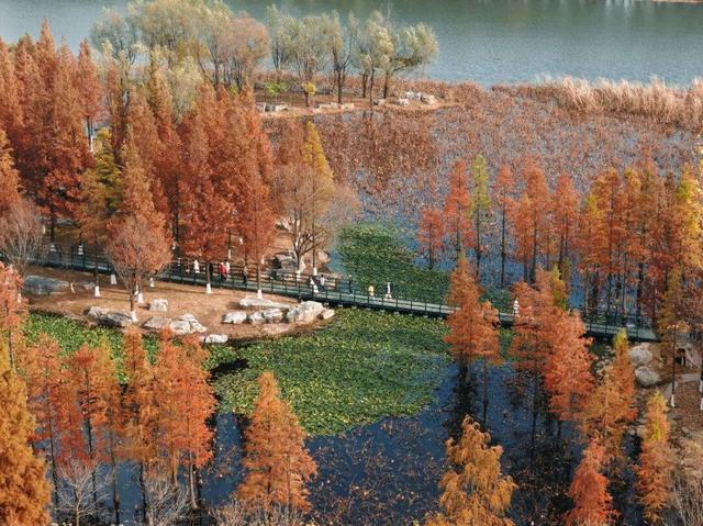 目测要火！烟台这座小城最近好看得离谱