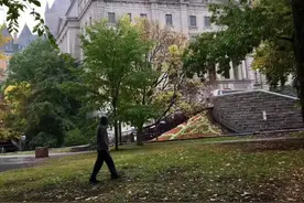 枫叶情结 想起了那一首诗，“停车坐爱枫林晚，霜叶红于二月花”，图片