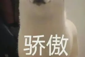 最近收藏的一些表情包图片