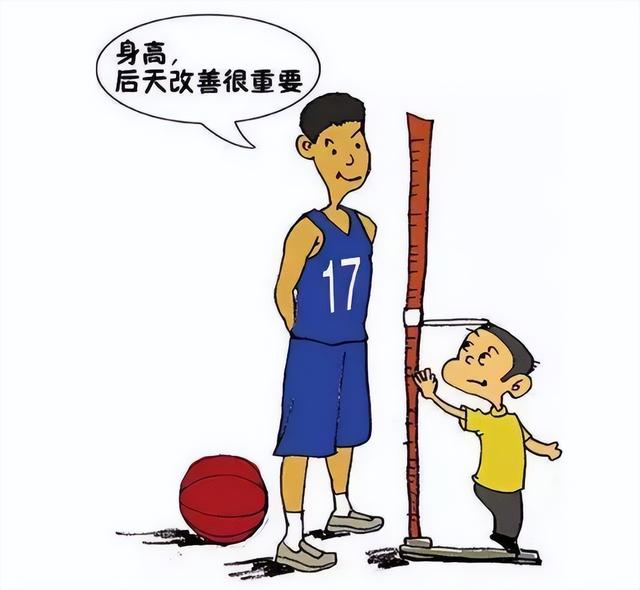 鱼胶可以帮助孩子长高吗 2025年鱼胶有助于长高吗