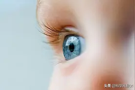人眼“像素”高达5.76亿，视网膜上竟然有个洞，章鱼眼睛更加完美图片