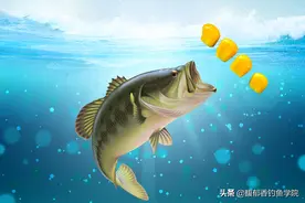 野钓大鱼的四大禁忌，想要钓到大鱼，必须注意这四点图片