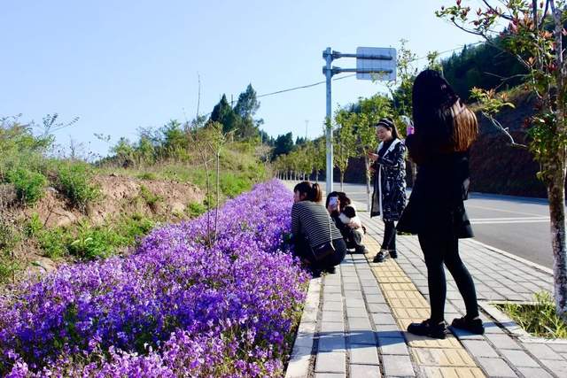 四川省民生研究会新媒体中心-官网