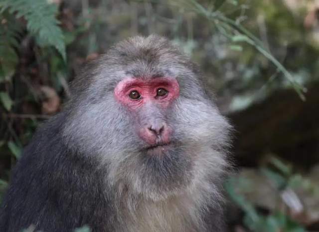 四川省民生研究会新媒体中心-官网