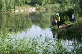 农村6种“小河鱼”，20年前常见也经常吃，现在却可遇不可求了图片