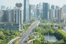 超1700米！汉阳将新添一条樱花大道→图片
