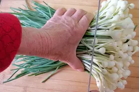 谷雨前后，遇见山蒜别手软，浑身都是宝，这样做给蒜苔炒肉也不换图片