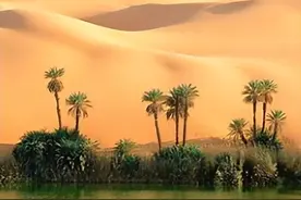 沙漠中绿洲的形成，以及相关的地理特征图片