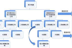 格力电器的销售渠道分析图片