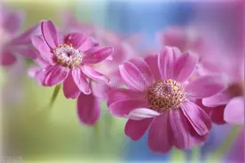 人老了才明白，兄弟之间结仇，是有原因的图片