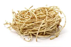 为什么说鱼腥草是“害人草”？常吃鱼腥草究竟会咋样？不妨多了解图片