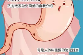胃的自述：“求求你们放过我吧……”图片