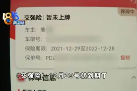 2月买的途观 交强险去年就交了图片