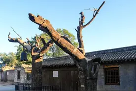 地道战：抗战奇观 地下长城图片