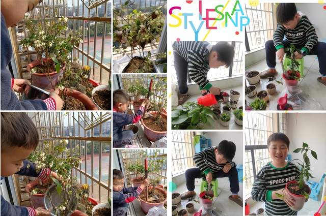 四川省民生研究会新媒体中心-官网