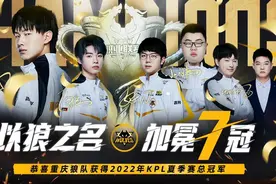 狼队小胖夺冠后巅峰赛乱杀，单局17个人头，赛后看到评分却懵了图片