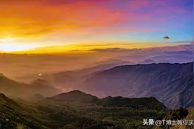 关于养老年金，不看这个会后悔！图片