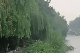 七夕专稿：她的嘴唇又肿了／情感交织／图片