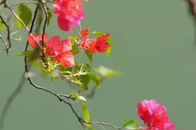 享受人生，享受生活图片