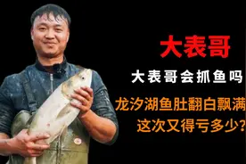 大表哥会抓鱼吗？龙汐湖鱼肚翻白飘满水面，这次又得亏多少？图片