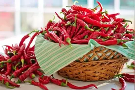 太原市中医医院：厨房里的中药材——辣椒图片