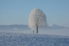 山东专升本每科要考多少分才算合格？图片