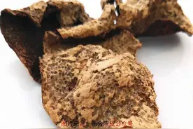 干货收藏！发现陈皮有蛀虫莫要慌，这篇教你如何解决预防图片