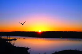 这10句网络流行用语，全部脱胎于古诗词，原诗句诗意更浓图片